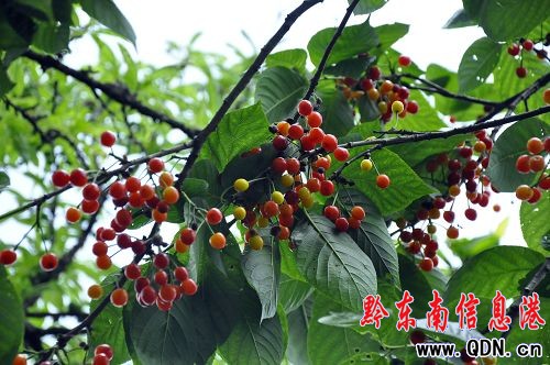 �������� ������͸��M֦�^���M�D��