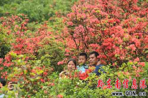 ��կ��Ȫɽ�ϣ��f�����N���_ӭ�́����M�D��