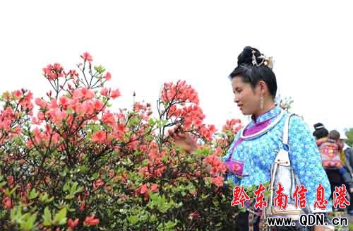 ��կ��Ȫɽ�ϣ��f�����N���_ӭ�́����M�D��