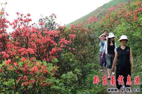 ��կ��Ȫɽ�ϣ��f�����N���_ӭ�́����M�D��