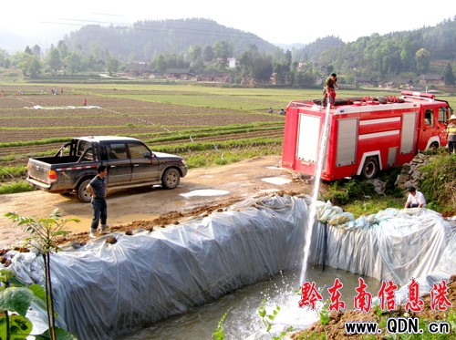 岑鞏2萬余畝農作物受旱 上萬群眾抗旱保春耕