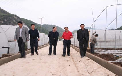 �ݷ�ؚ�k�h�M��ӛ����ܵ��P���Йz��(�D)