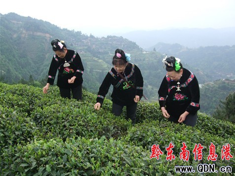 ��ɽ�h�f���r(n��ng)�񹤲ɲ�æ���D��