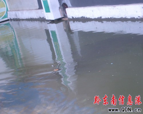 凱里一家居廣場積水成河倉庫被淹(圖)