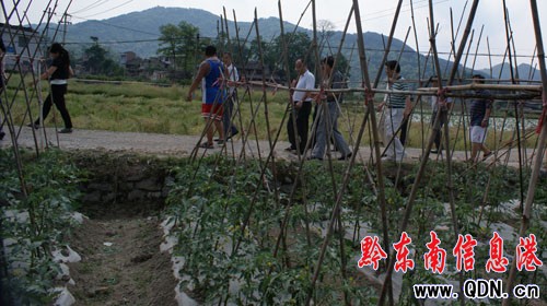 ʡ�����r�I���a����M����h�hҕ��ָ���������D��