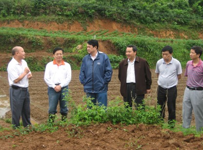 �����A������µ��Sƽ�hҕ�쿹���������D��