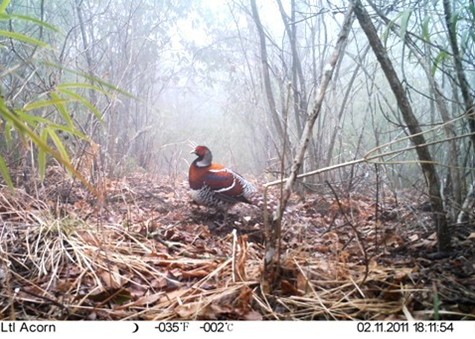 �׹�ɽ���o�^(q��)�l(f��)�F����һ�����o�B�--���i�Lβ��