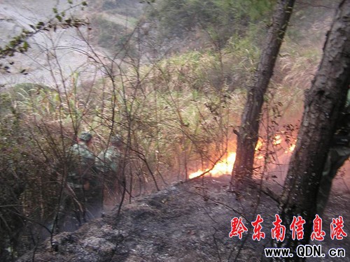 ɽ�𡰰��L�����f ���Ӷಿ�T(li��n)�ֽ���ħ(�D)