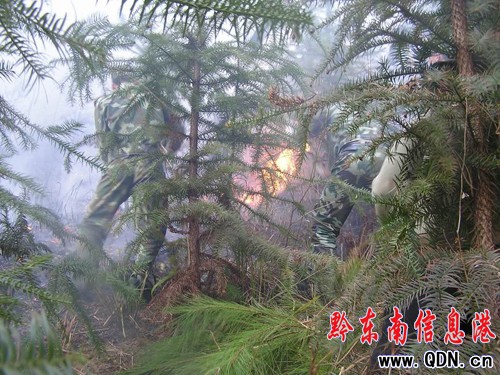 ɽ�𡰰��L�����f ���Ӷಿ�T(li��n)�ֽ���ħ(�D)