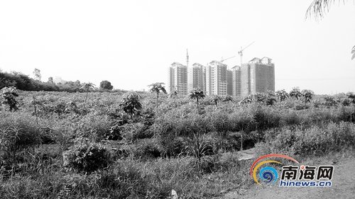 �ɲ������⼯�w�������e�� ӛ�߲��L���R��ȥ��������