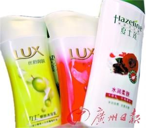 �l��ί�Q�����A�q�r���{���ٻؑ� �V�|�Q�Ϸ�