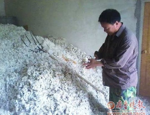 �����ރr�������¼�����I�����f��̝�p�σ|