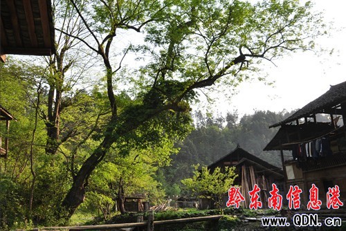 世外桃源般的山村——劍河巫包(組圖)