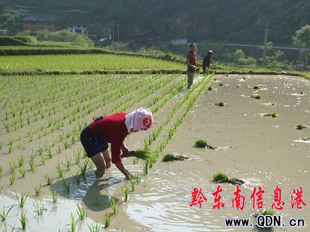 ��ɽ�h������ʩ��խ�ж���������D��