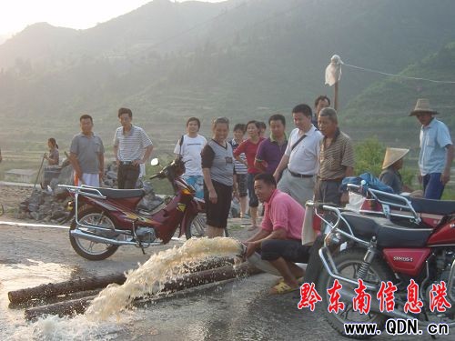 岑鞏近4萬畝農作物受災(圖)