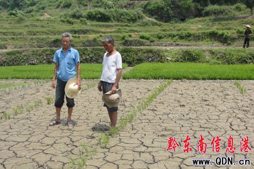 ��h�����ܺ� �������_�����ѿڡ����D��