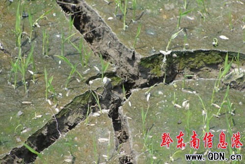 ��h�����ܺ� �������_�����ѿڡ����D��