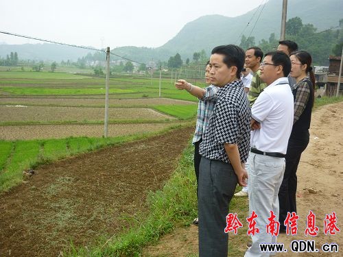 岑鞏縣委、縣政府充分肯定氣象工作(圖)