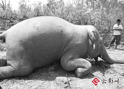 �ն��������|����� ͬ���غ�37С�r(sh��)���xȥ