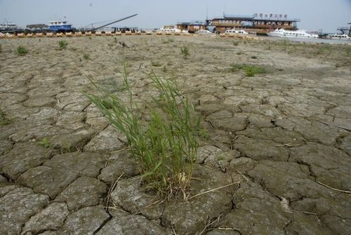 溫家寶:將發放抗旱補貼 南水北調要全面考慮