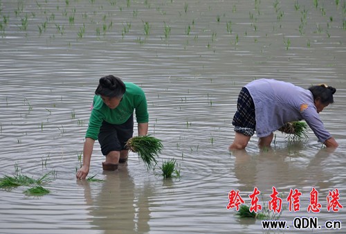 �����硱�ѹ�����â�N��(�M�D)