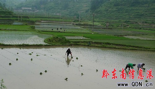 �����硱�ѹ�����â�N��(�M�D)