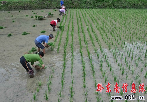 �����硱�ѹ�����â�N��(�M�D)