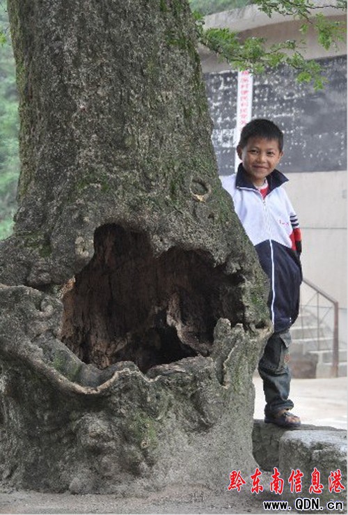 ��ɬF(xi��n)���� ��֦ï�糣���D��