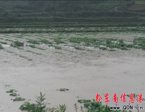 鎮遠江古5小時降雨108.6㎜ 集鎮再成澇(圖)