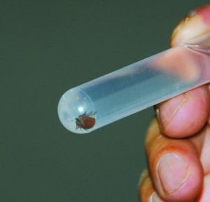 �����@��6��14�����ڱ����в�ƽ�^(q��)���������Ĕz�ı�����Q��Č��ﹷ����ȡ�µ����x�����A��l(f��)