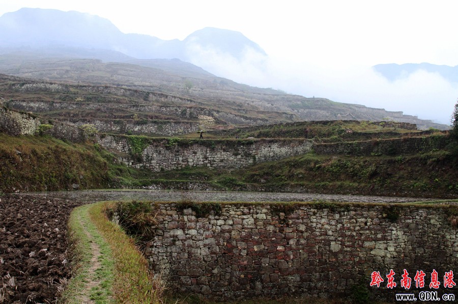 �Sƽ�l(f��)�F(xi��n)����Ҏ(gu��)ģ�����ʯ������Ⱥ