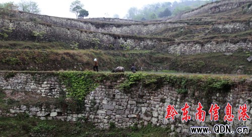 �Sƽ�l�F����Ҏģ�����ʯ������Ⱥ���M�D��