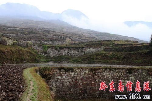 �Sƽ�l�F����Ҏģ�����ʯ������Ⱥ���M�D��