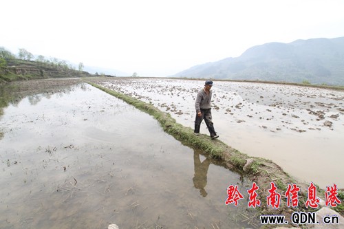 �Sƽ�l�F����Ҏģ�����ʯ������Ⱥ���M�D��