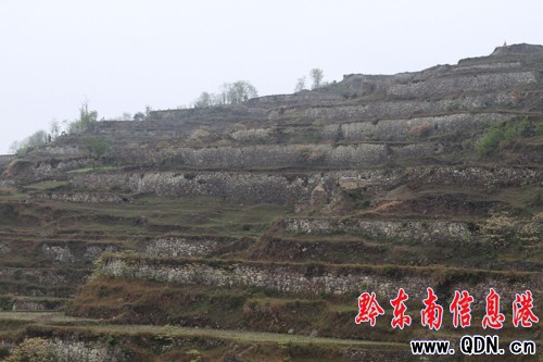 �Sƽ�l�F����Ҏģ�����ʯ������Ⱥ���M�D��