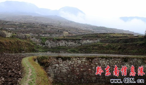 �Sƽ�l�F����Ҏģ�����ʯ������Ⱥ���M�D��