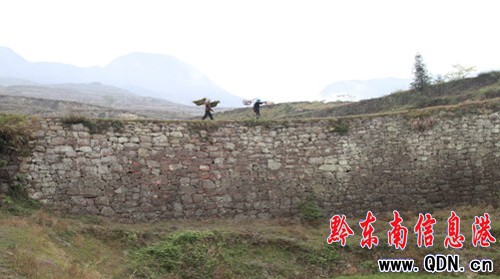 �Sƽ�l�F����Ҏģ�����ʯ������Ⱥ���M�D��