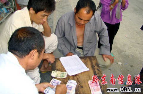 錦屏村民喜領造林補助款(組圖)