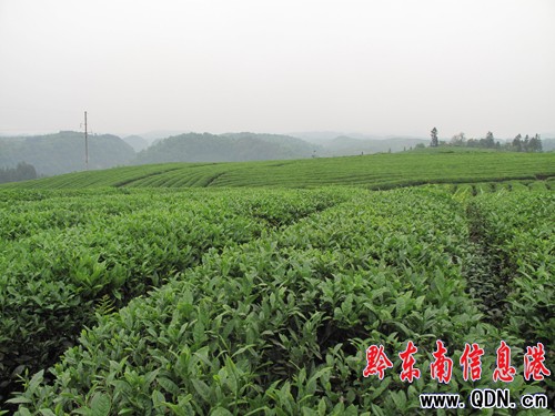 ��ƽ�����(zh��n)���x�׌á��F���������l(xi��ng)�����D��