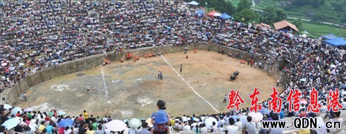 ��ƽ���ض�ţِ �����ὀ��f�ˣ��D��