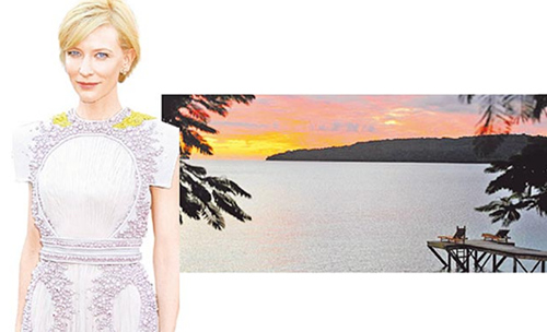 好萊塢明星買(mǎi)海島:夏奇拉蓋飯店 德普神隱