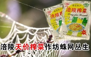 “天價(jià)榨菜”作坊蛛網(wǎng)叢生 沉壇烏江實(shí)為堰塘