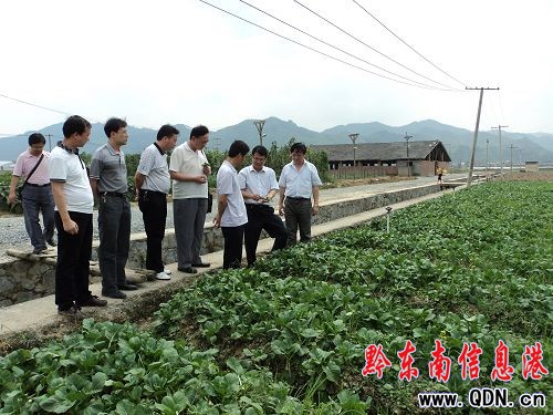 省質(zhì)監(jiān)局領(lǐng)導(dǎo)到我州檢查農(nóng)業(yè)標(biāo)準(zhǔn)化工作