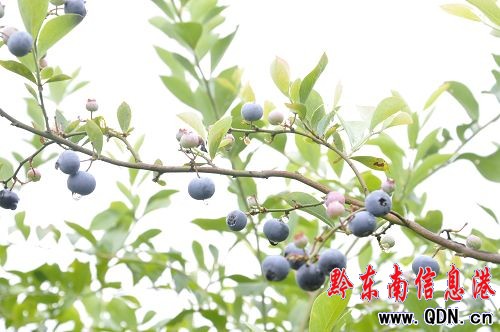 ���M�{ݮ�����w�ԭ���B(t��i)�l(xi��ng)���L�⣨�D��