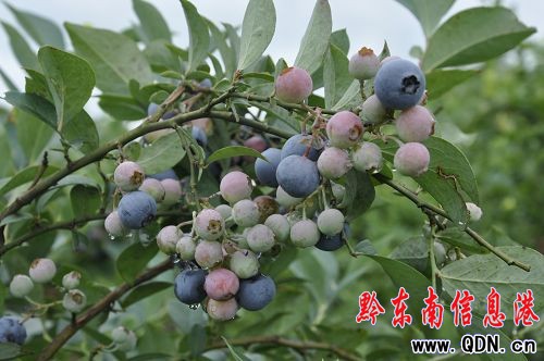 ���M�{ݮ�����w�ԭ���B(t��i)�l(xi��ng)���L�⣨�D��