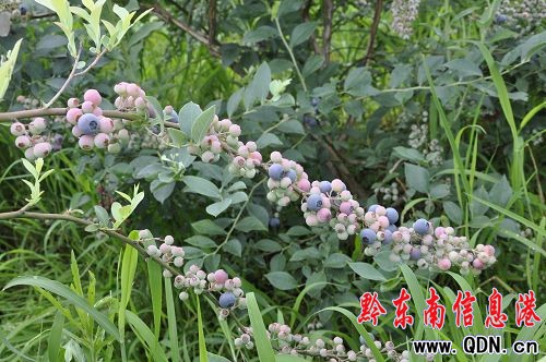 ���M�{ݮ�����w�ԭ���B(t��i)�l(xi��ng)���L�⣨�D��