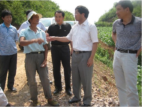 �T������꠸��Sƽ�h�{�п������a����