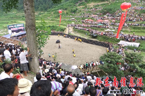 �������f�������ţ������ِ���D��