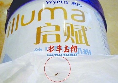 青島惠氏奶粉里喝出蟲子 辦事處稱需進行檢測