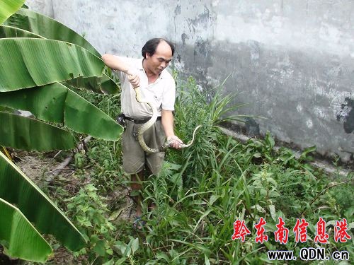 �����r(n��ng)����ַ�ԭ���B(t��i)�B(y��ng)�߫@�ɹ����D��